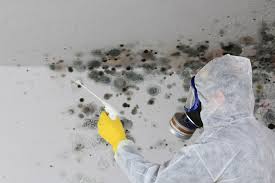 Best Environmental Consulting for Mold Prevention  in , WI